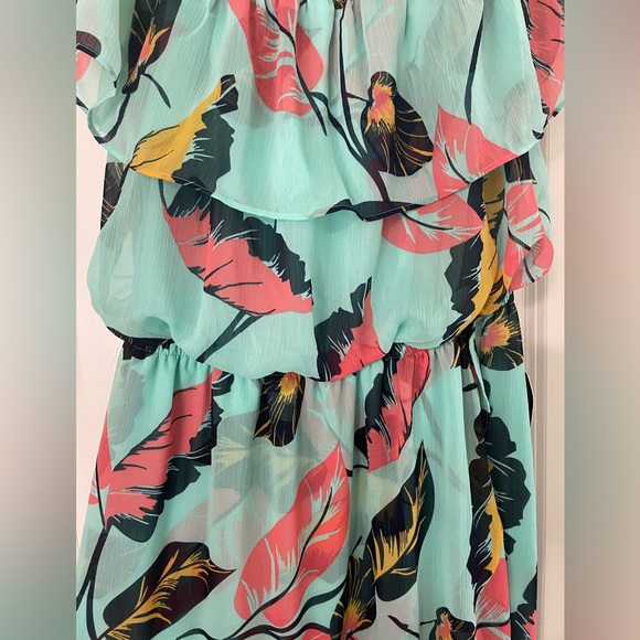 Express Dress - Picture 4 of 4